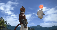 Inseperable:  B'jaern and Puko