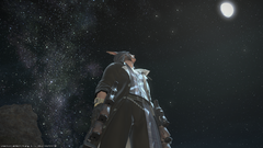 ffxiv_08092014_234402.png
