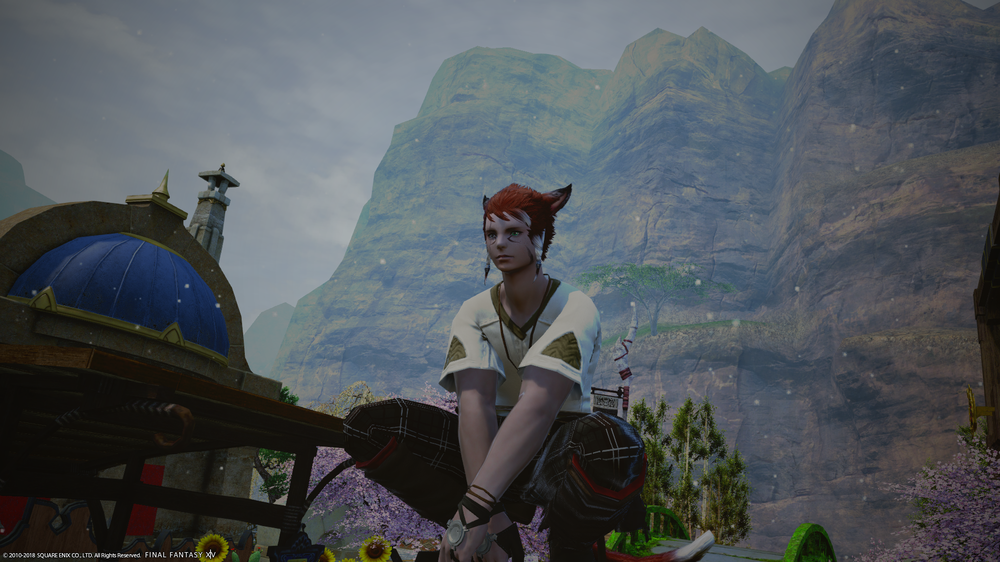 ffxiv_12262018_125702.png