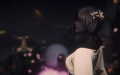 ffxiv_dx11 2019-01-15 17-33-24.png