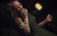 ffxiv_dx11 2019-01-23 21-45-21.png