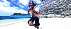 ffxiv_dx11 2019-02-04 12-59-28.png