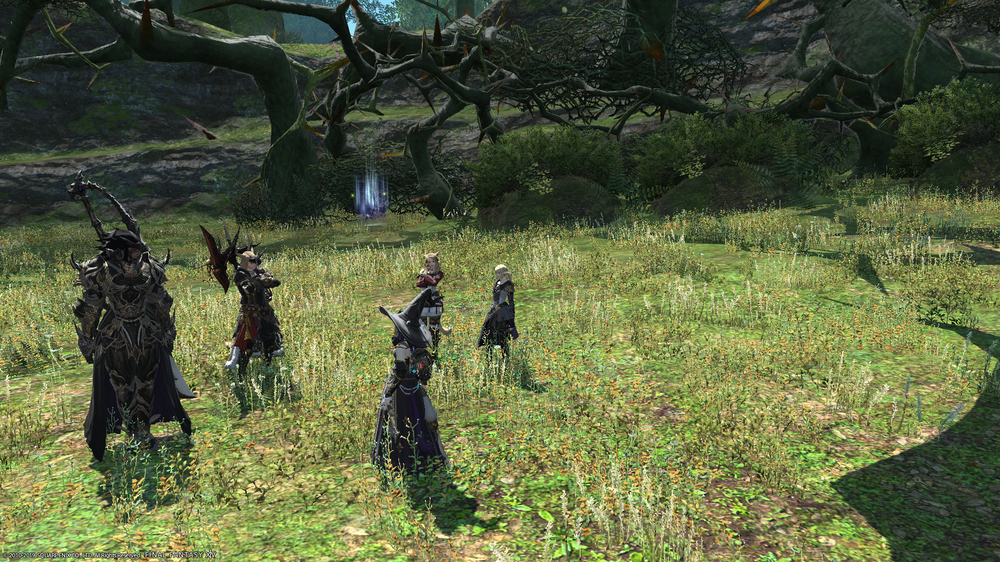 ffxiv_04272019_163418_727.png