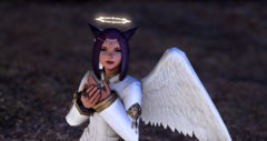 ffxiv_dx11 2019-06-15 11-29-56