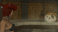 Accident Waiting to Happen