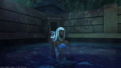 Hot Springs are Apparently Just a 'Thing'