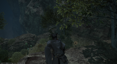 Le'daren Looking Out