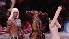 A Successful Run of the Palace!