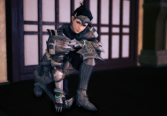 ffxiv_dx11_2019-08-01_00-54-57.png