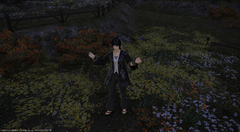 ffxiv_10042019_071137_975