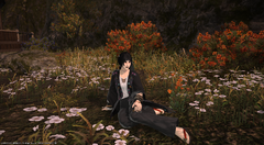 ffxiv_10042019_071725_901