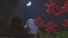 Moon Gazing for Two