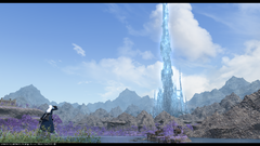 Taking in the Sights