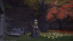 ffxiv_04182019_001204_583.png