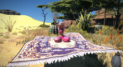 Getting Ready To Fly!