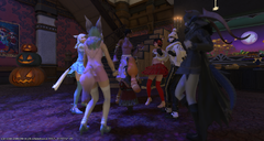 ffxiv_10172020_214423_009.png