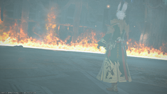 ffxiv_07142019_212709_812.png