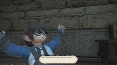 ffxiv_07192019_125858_431.png