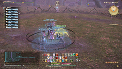 ffxiv_08022019_205429_067.png