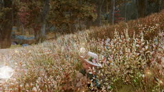 amongst what makes me happy